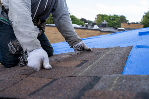 Best Commercial Roofing Services  in Niles, OH